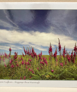 Isle of Man Foxgloves Card